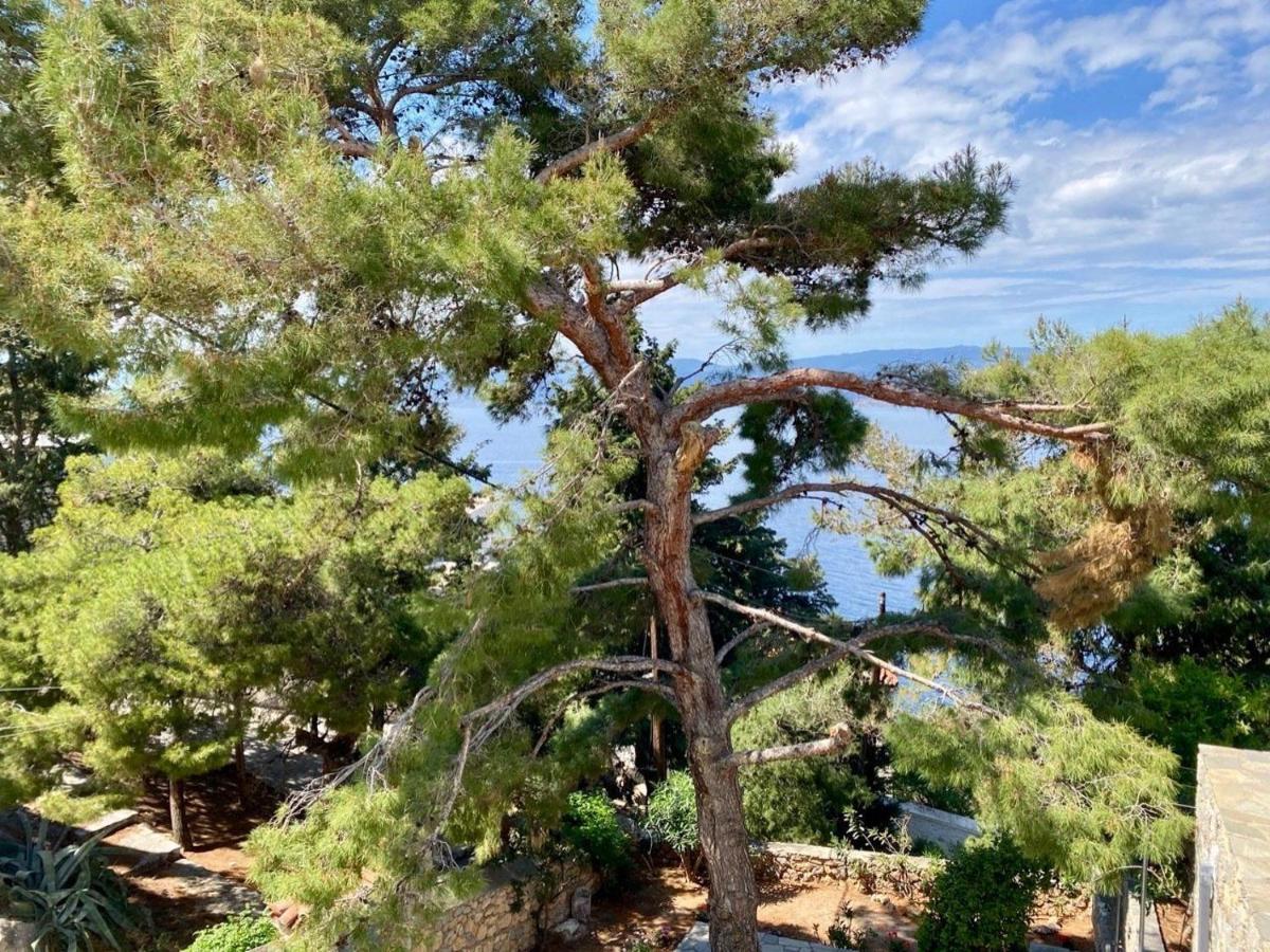 Pine Trees And Sea View Houses In Hydra - Daphne, Chloe, Myrto, Eleni Zewnętrze zdjęcie