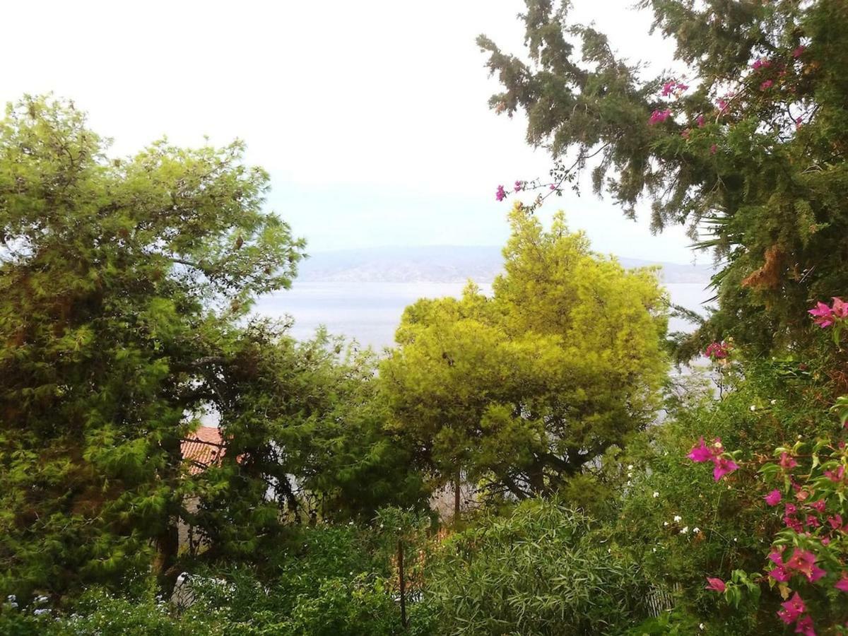 Pine Trees And Sea View Houses In Hydra - Daphne, Chloe, Myrto, Eleni Zewnętrze zdjęcie